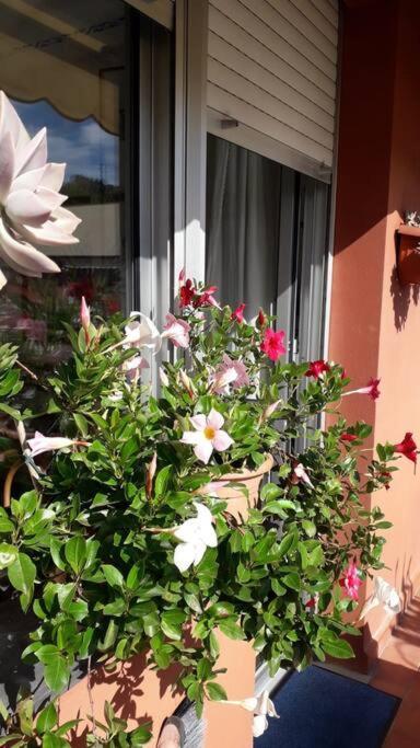 La Casa Di Teri A Chiavari Kültér fotó