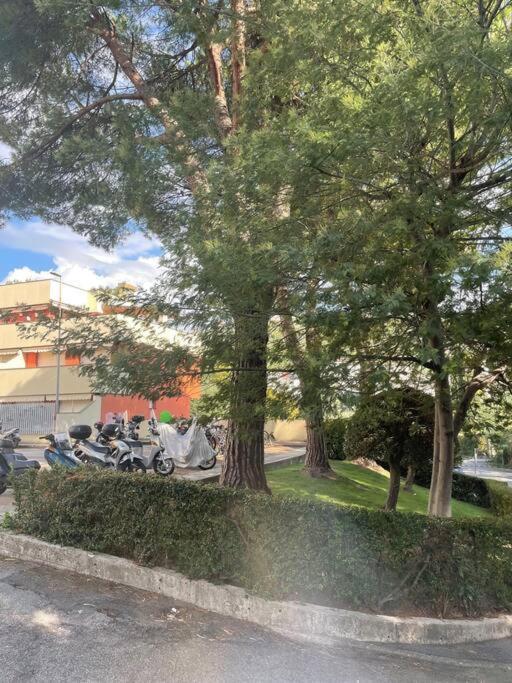 La Casa Di Teri A Chiavari Kültér fotó