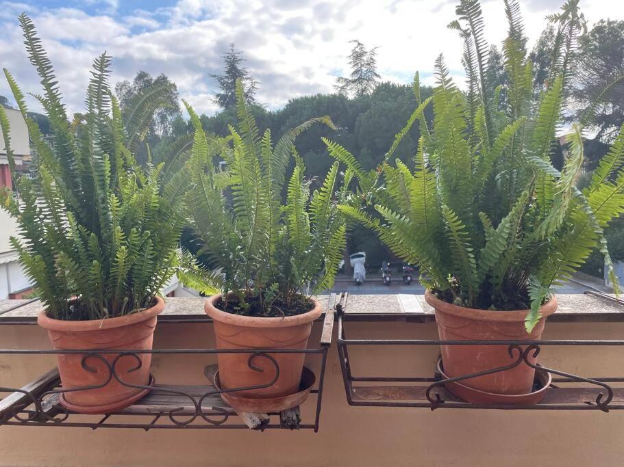 La Casa Di Teri A Chiavari Kültér fotó