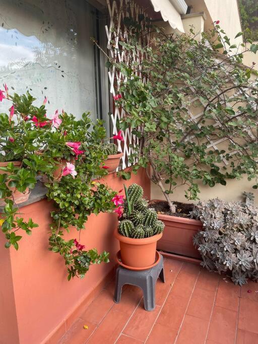 La Casa Di Teri A Chiavari Kültér fotó